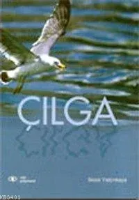 Çılga