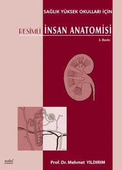 Resimli İnsan Anatomisi Mehmet Yıldırım