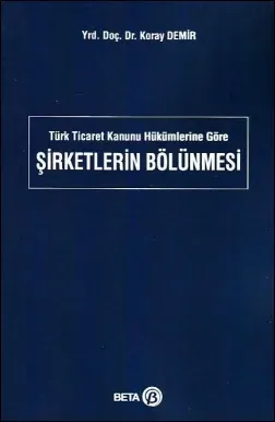 Şirketlerin Bölünmesi