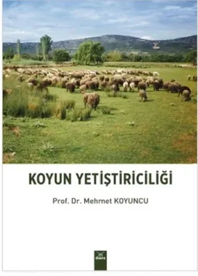 Koyun Yetiştiriciliği Mehmet Koyuncu