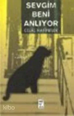 Sevgim Beni Anlıyor