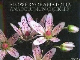 Anadolu´nun Çiçekleri