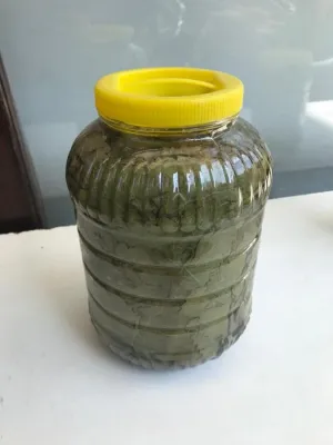 SALAMURA ASMA YAPRAĞI (3 KG LIK)