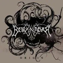 Borknagar ‎– Origin LP