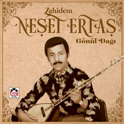 Neşet Ertaş - Gönül Dağı Plak LP