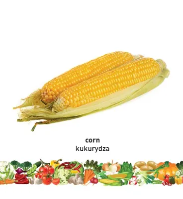 Vegetables (English–Polish) Milet