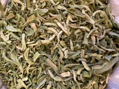 KURUTULMUŞ YEŞİL FASULYE 500 GR
