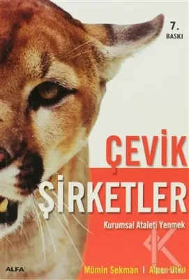 Çevik Şirketler