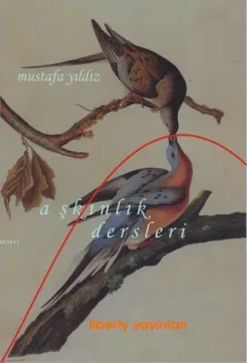 Aşkınlık Dersleri