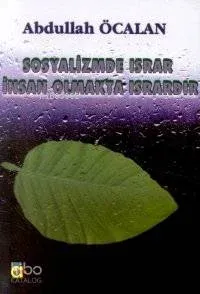 Ağrının Gazabı