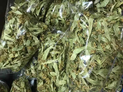 Ihlamur (50 gr) Ihlamur (50 gr)