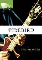 Headlights - Firebird