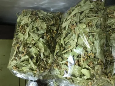 Ihlamur (50 gr) Ihlamur (50 gr)