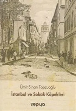 İstanbul ve Sokak Köpekleri