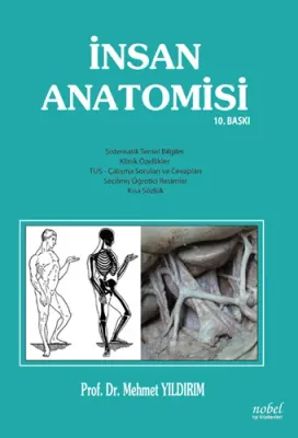 İnsan Anatomisi Mehmet Yıldırım