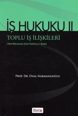İş Hukuku, Toplu İş İlişkileri – 2