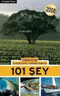 Türkiye'de Ölmeden Önce Yapmanız Gereken 101 Şey - 2008