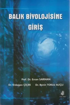 Akademik Emek Piyasası ve Reel Ücretler