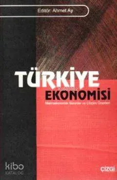 Türkiye Ekonomisi Ahmet Ay