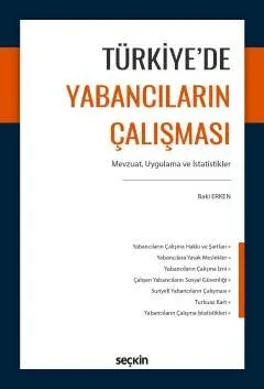 Türkiye'de Yabancıların Çalışması