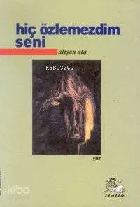 Hiç Özlemezdim Seni