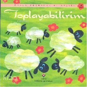 Toplayabilirim