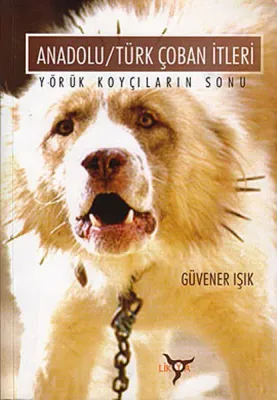 Anadolu/Türk Çoban İtleri