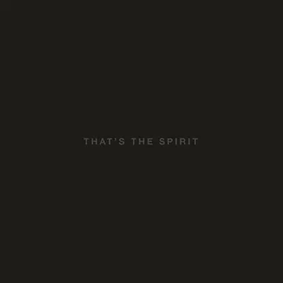 Bring Me The Horizon – That's The Spirit CD