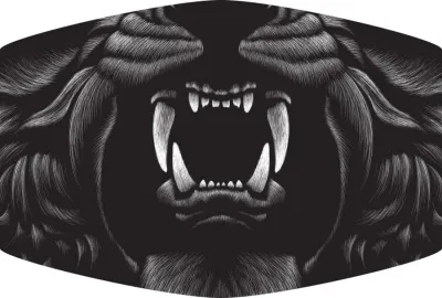 LION FACE