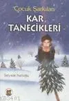 Kar Tanecikleri