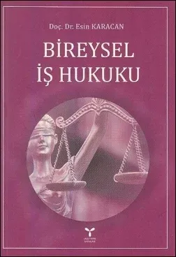 Bireysel İş Hukuku