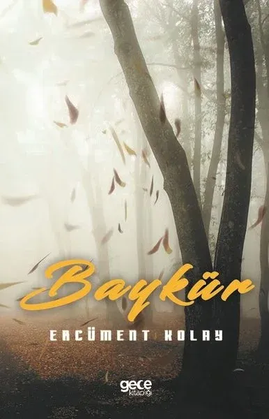 Baykür