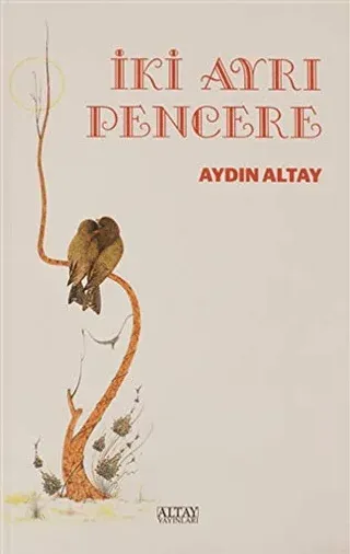 İki Ayrı Pencere