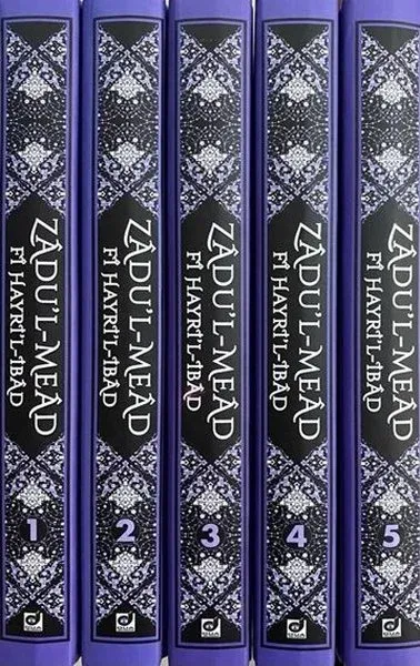 Zadu'l-Mead Fi Hayri'ı-İbad (5 Cilt Takım) (Ciltli)