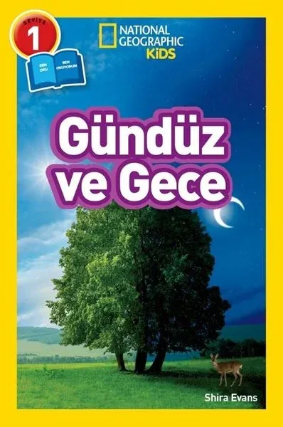 Gündüz ve Gece - Seviye 1