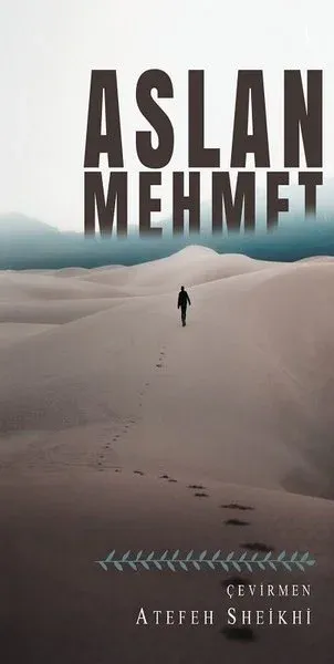 Aslan Mehmet