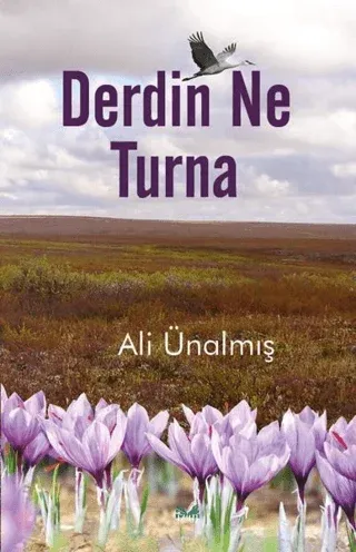Derdin Ne Turna