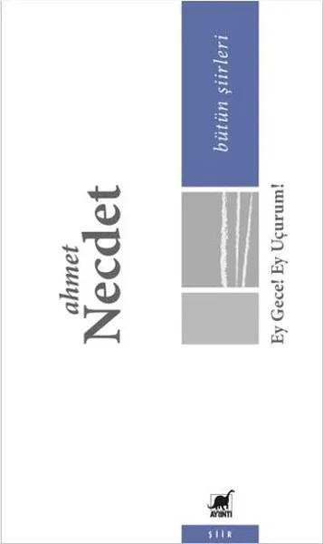 Ey Gece! Ey Uçurum! Ahmet Necdet