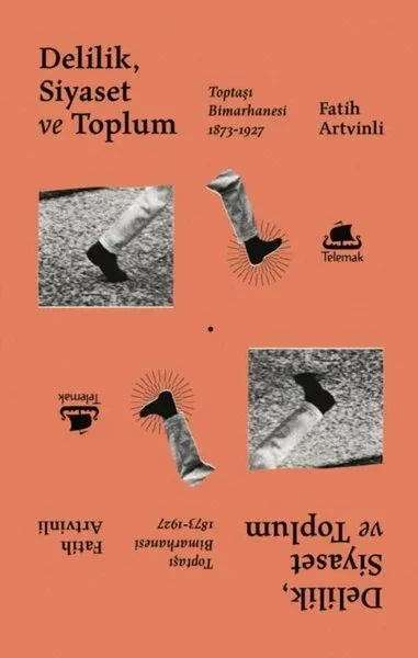 Delilik Siyaset ve Toplum: Toptaşı Bimarhanesi 1873-1927
