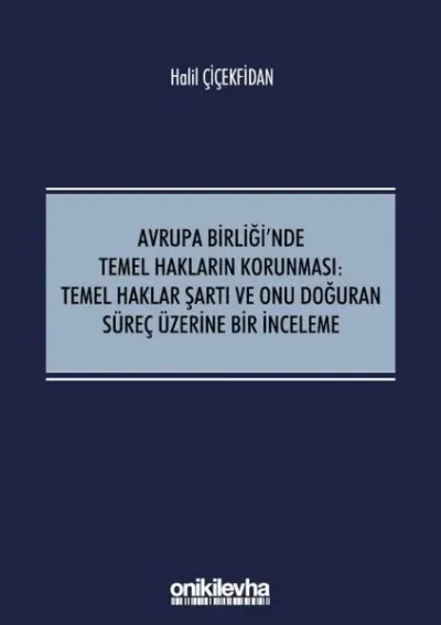 Avrupa Birliği'nde Temel Hakların Korunması: Temel Haklar Şartı ve Onu Doğuran Süreç Üzerine Bir İnceleme