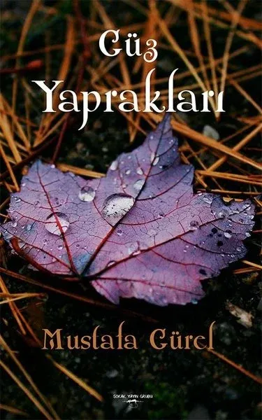 Güz Yaprakları