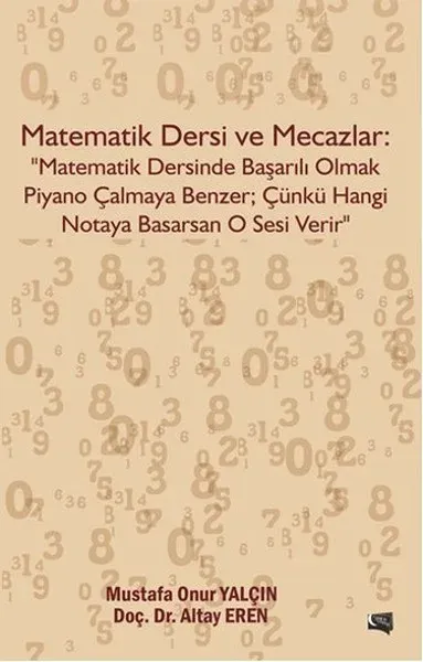 Matematik Dersi ve Mecazlar