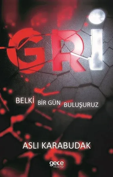 Gri-Belki Bir Gün Buluşuruz