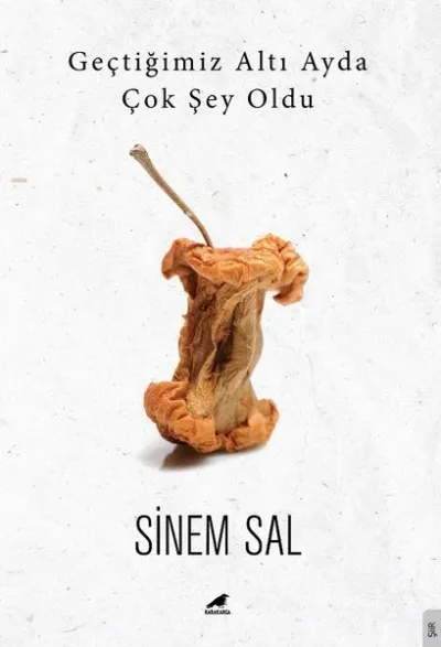 Geçtiğimiz Altı Ayda Çok Şey Oldu Sinem Sal