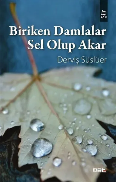 Biriken Damlalar Sel Olup Akar Derviş Süslüer