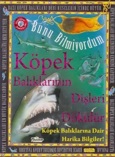 Bunu Bilmiyordum - Köpek Balıklarının Dişleri Dökülür