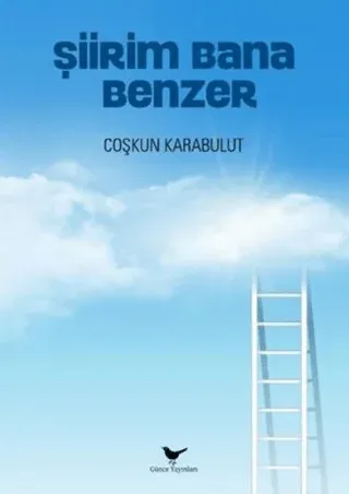 Şiirim Bana Benzer