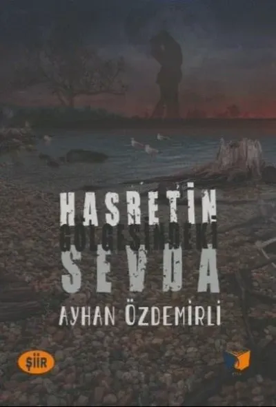 Hasretin Gölgesindeki Sevda