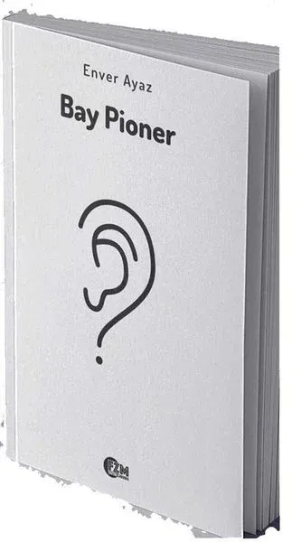 Bay Pioner