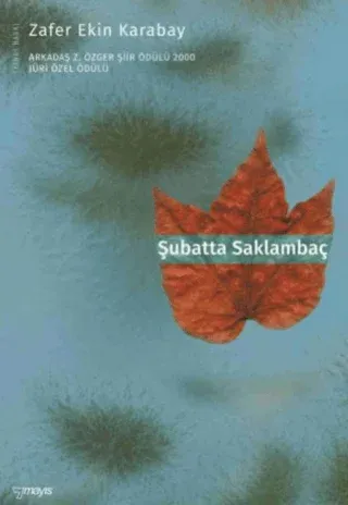 Şubatta Saklambaç
